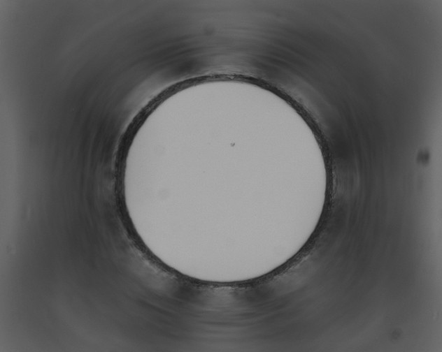 X0000093570828200710221442