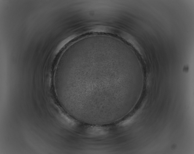 X0000093570829200710221442