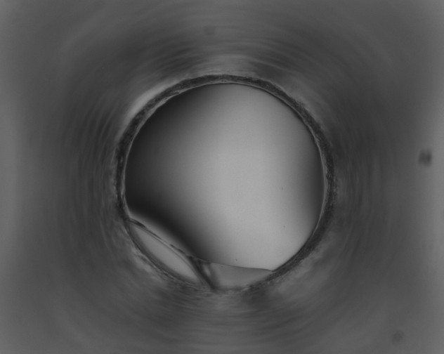 X0000093570830200710221442