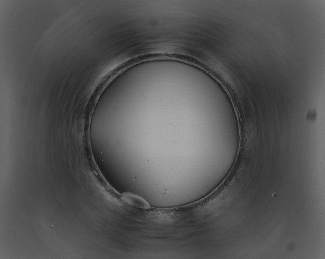X0000093570831200710221442