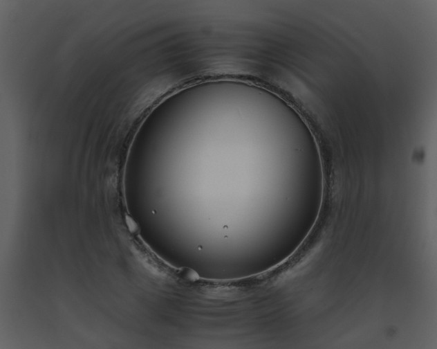 X0000093570833200710221442