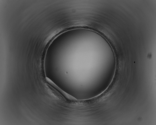 X0000093570834200710221442
