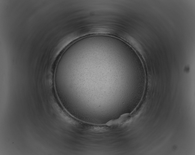 X0000093570835200710221442