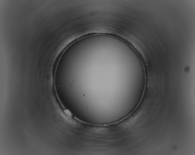 X0000093570837200710221442