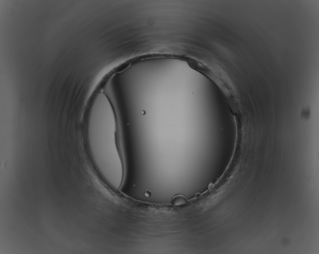 X0000093570838200710221442