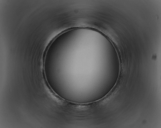 X0000093570839200710221442