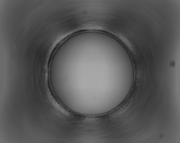 X0000093570840200710221442