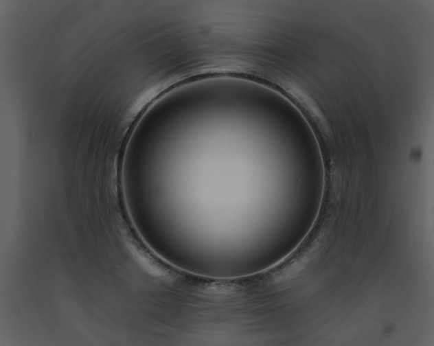 X0000093570842200710221442