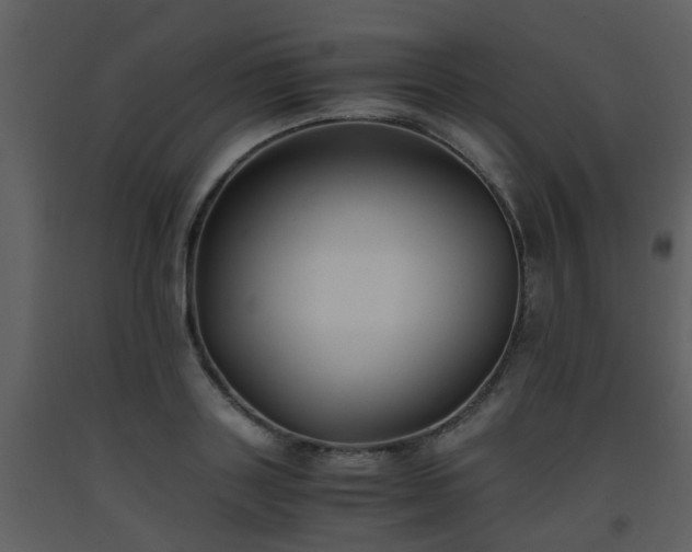 X0000093570843200710221442