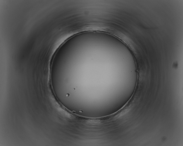 X0000093570844200710221442