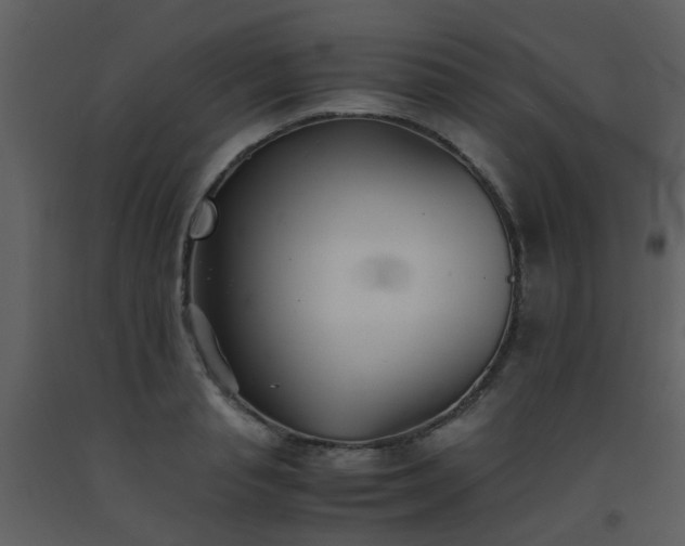 X0000093570845200710221442