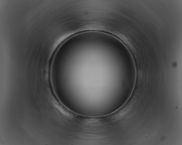 X0000093570846200710221442
