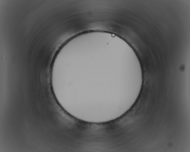 X0000093570848200710221442