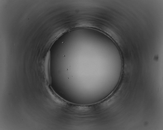 X0000093570849200710221442