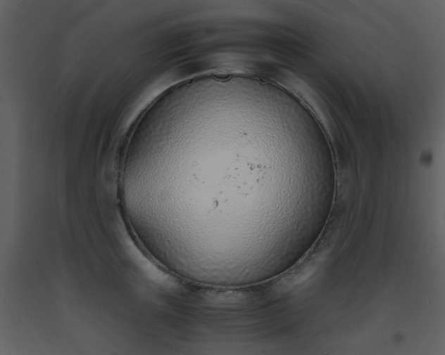 X0000093570851200710221442