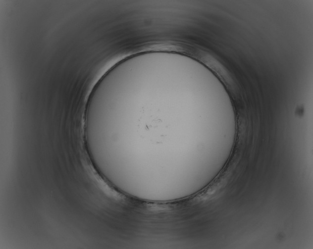 X0000093570852200710221442