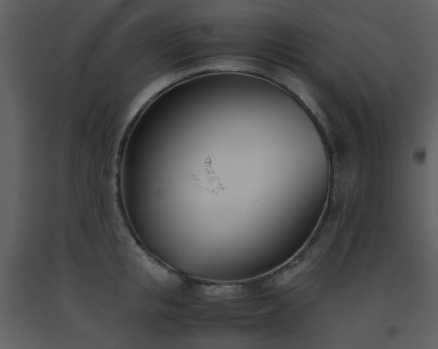 X0000093570853200710221442