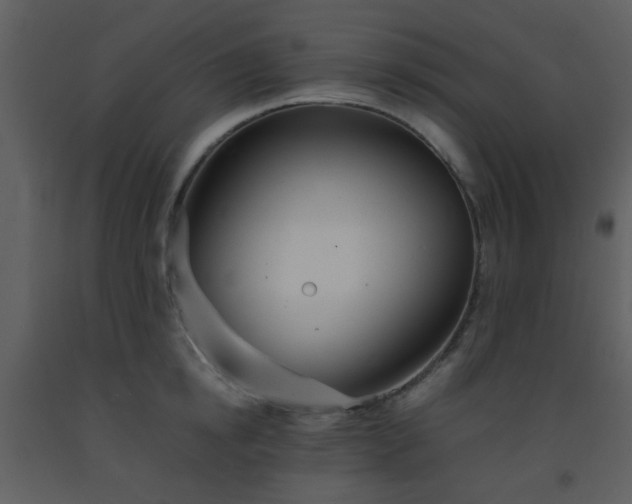 X0000093570854200710221442