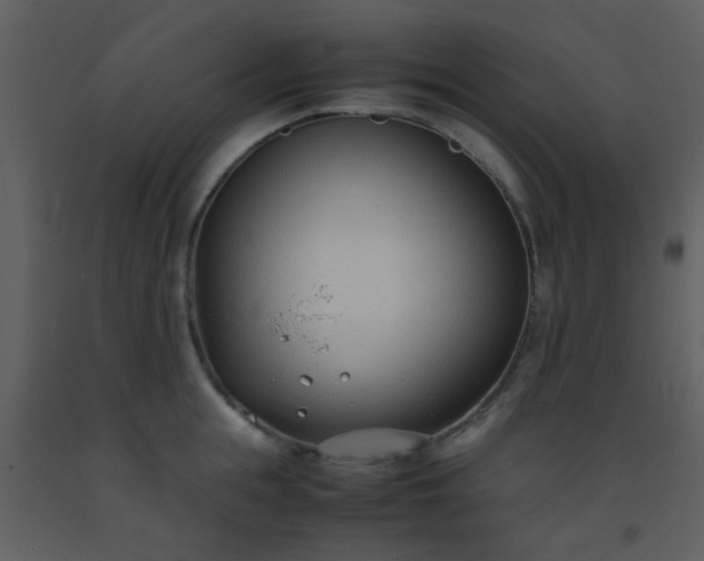 X0000093570855200710221442