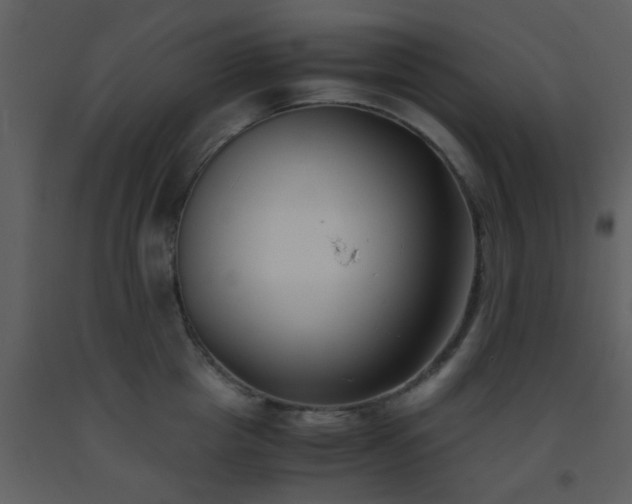 X0000093570857200710221442