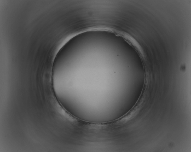 X0000093570860200710221442