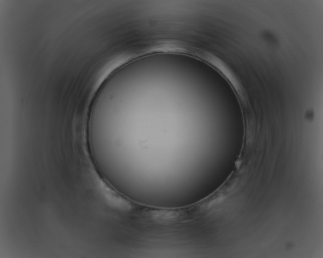 X0000093570861200710221442