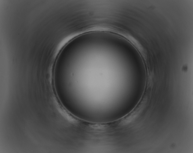 X0000093570862200710221442