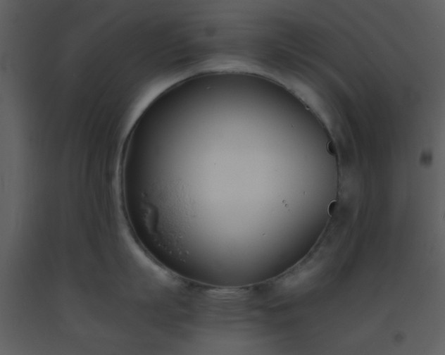 X0000093570863200710221442