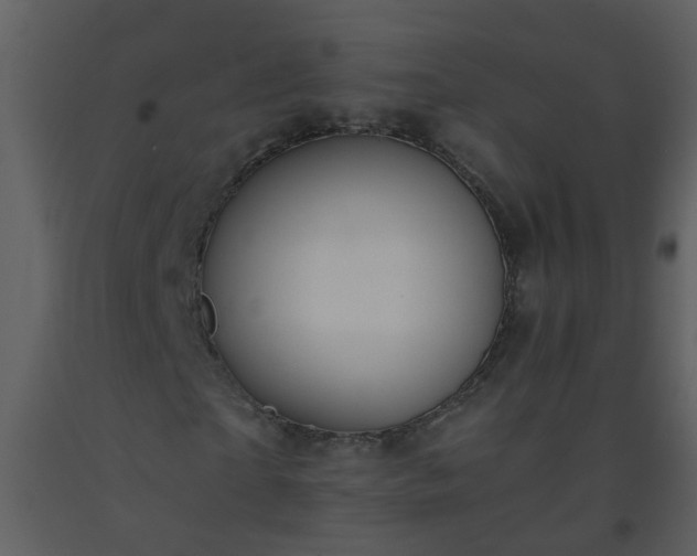 X0000093570865200710221441