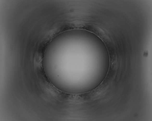 X0000093570866200710221441