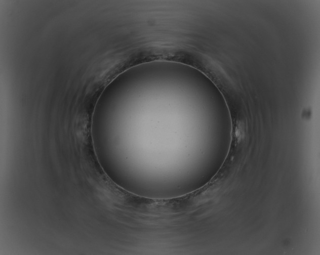 X0000093570867200710221441