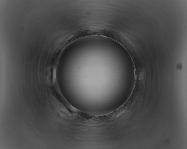 X0000093570868200710221441