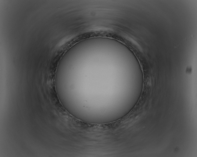 X0000093570869200710221441