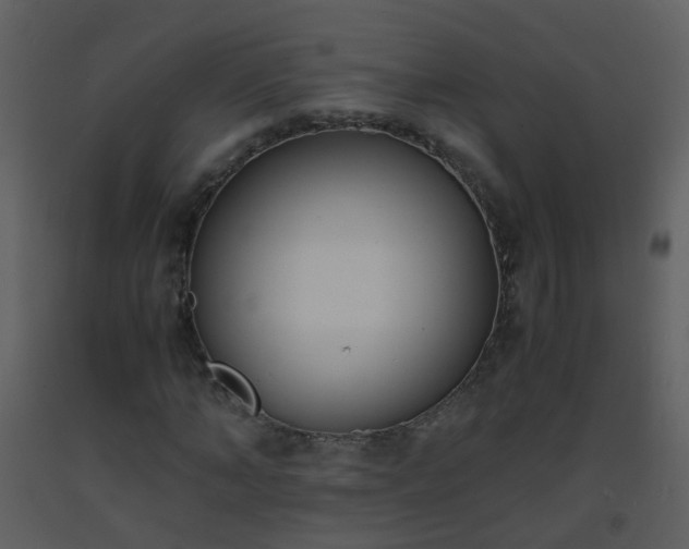 X0000093570870200710221441