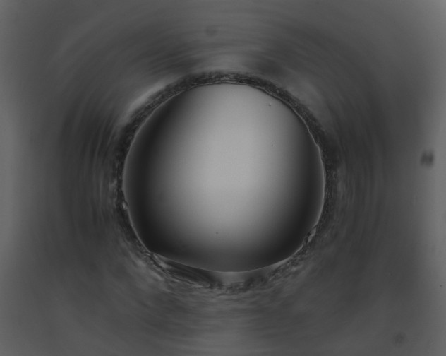 X0000093570872200710221441