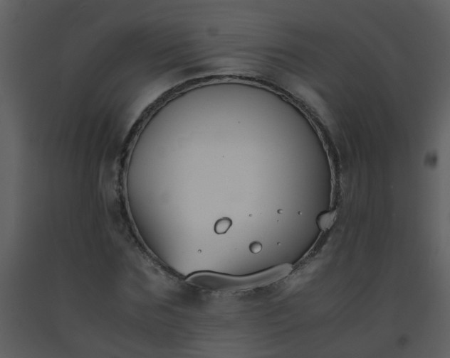 X0000093570875200710221441