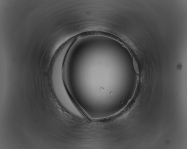 X0000093570877200710221441