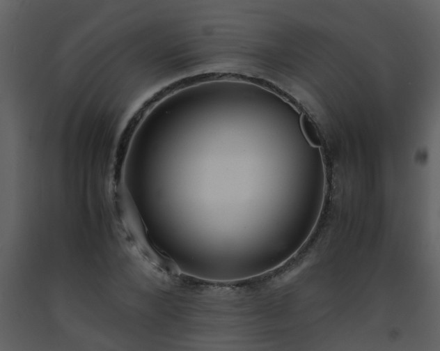 X0000093570880200710221441