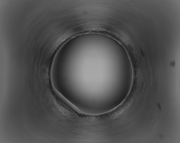 X0000093570881200710221441