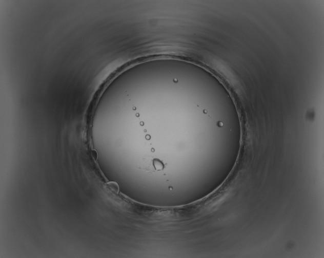 X0000093570883200710221441