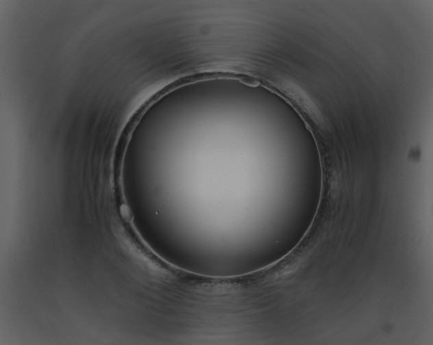 X0000093570884200710221441