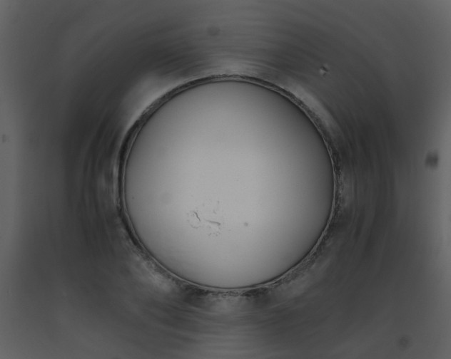 X0000093570886200710221441