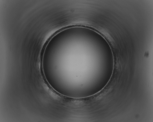 X0000093570888200710221441