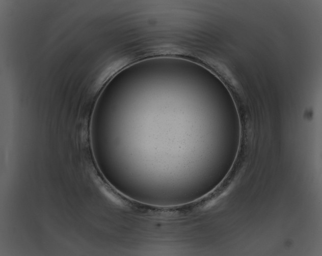 X0000093570889200710221441