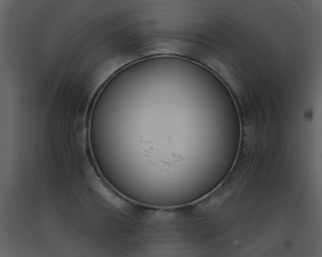 X0000093570890200710221441