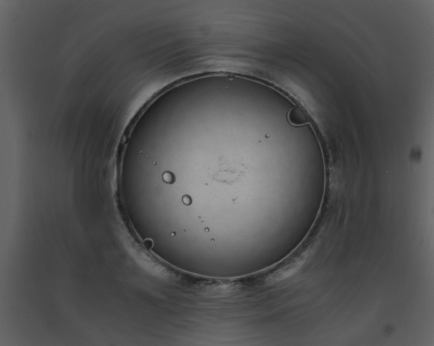 X0000093570891200710221441