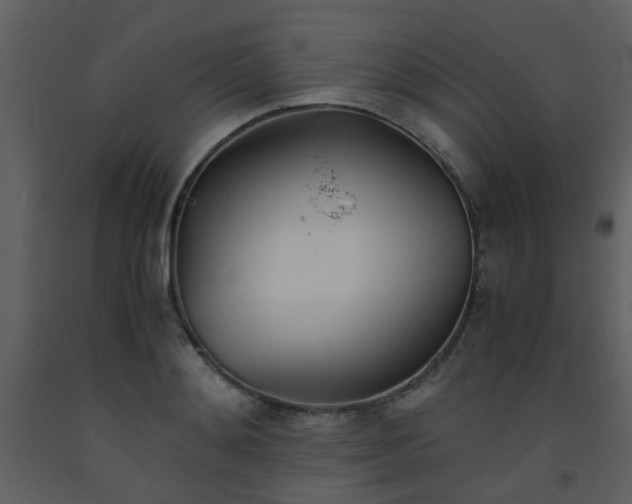 X0000093570892200710221441