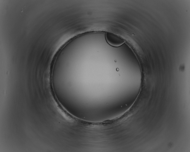 X0000093570894200710221441