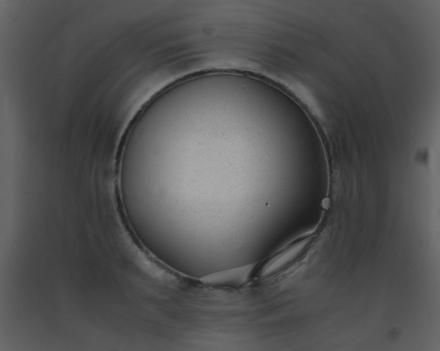 X0000093570895200710221441