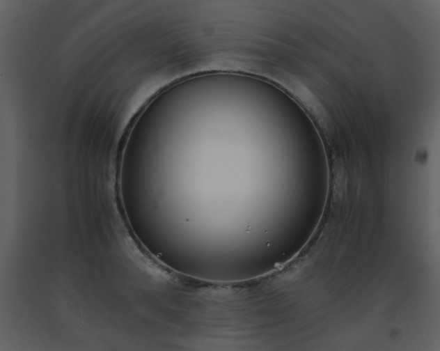 X0000093570896200710221441